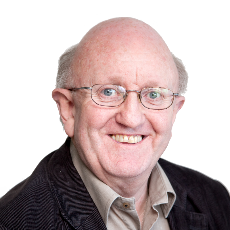 Emeritus Professor David Coghlan